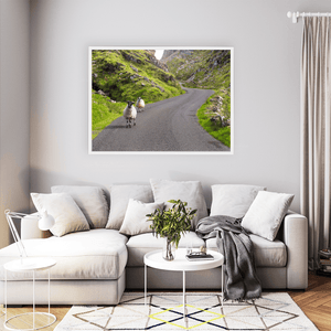 sheep-on-winding-mountain-road-gap-of-dunloe WFW