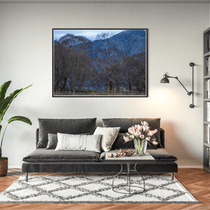 Nua Photography Print Silver Birch Trees Against Slate Quarry, Snowdonia Wales Silver Birch Trees Slate Quarry Snowdonia Print | Nua Photography