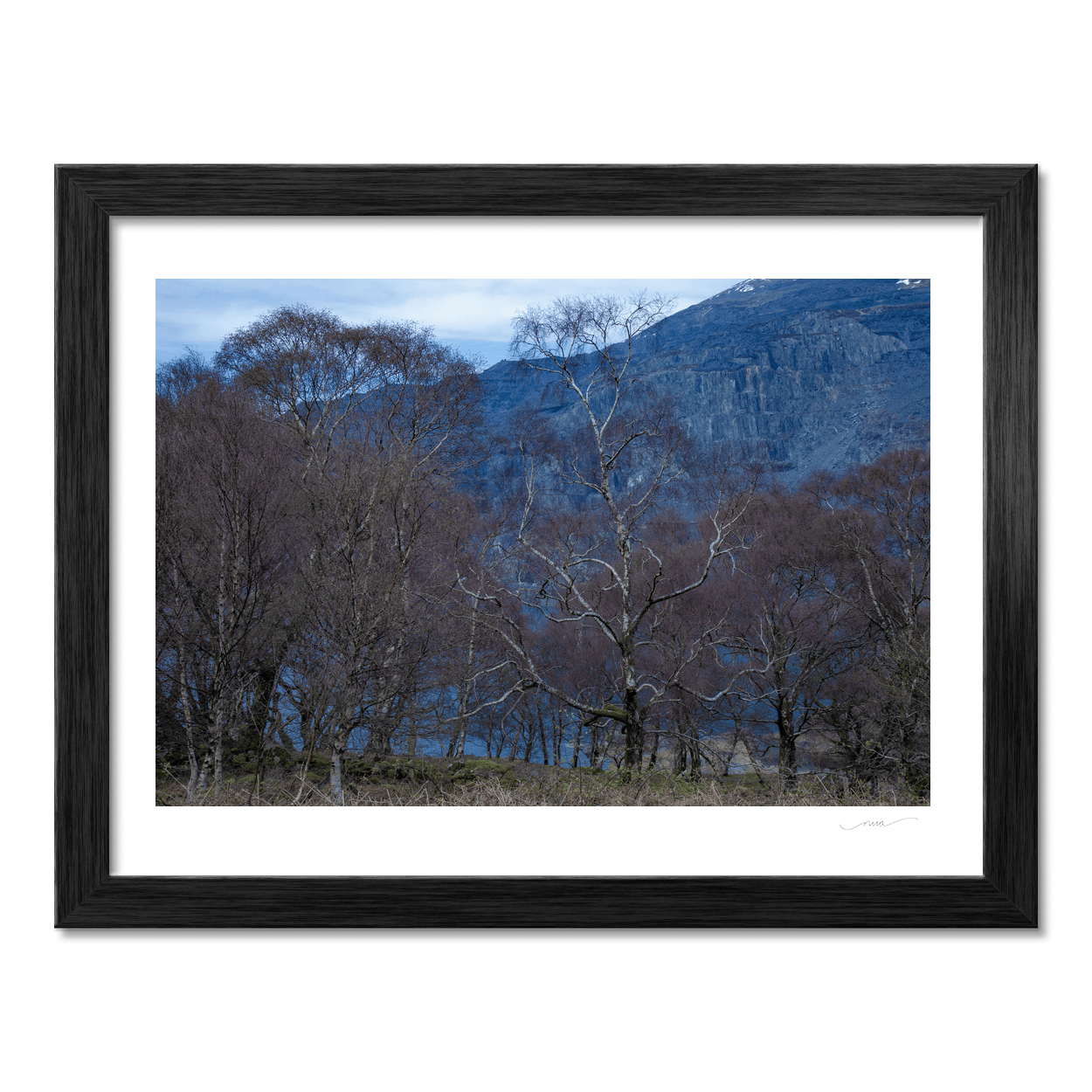 Nua Photography Print Silver Birch Trees Against Slate Quarry, Snowdonia Wales Silver Birch Trees Slate Quarry Snowdonia Print | Nua Photography
