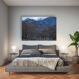Nua Photography Print Silver Birch Trees Against Slate Quarry, Snowdonia Wales Silver Birch Trees Slate Quarry Snowdonia Print | Nua Photography