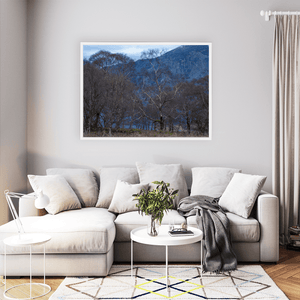 Nua Photography Print Silver Birch Trees Against Slate Quarry, Snowdonia Wales Silver Birch Trees Slate Quarry Snowdonia Print | Nua Photography