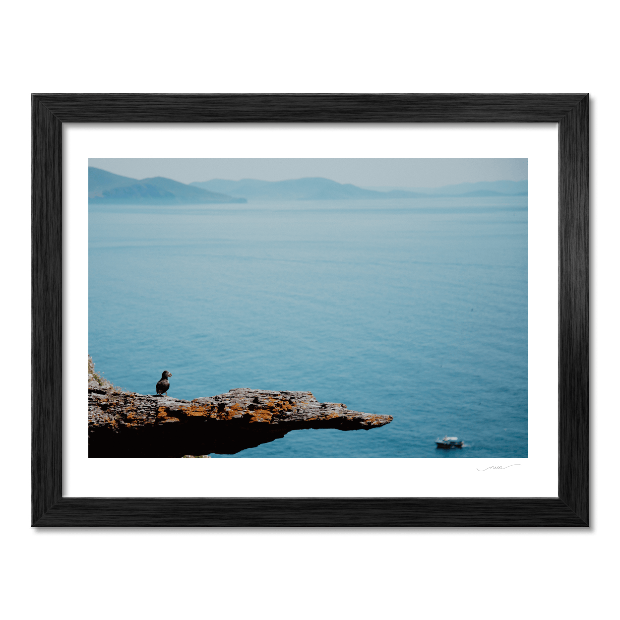 skellig-michael-puffin-cliff-edge PM