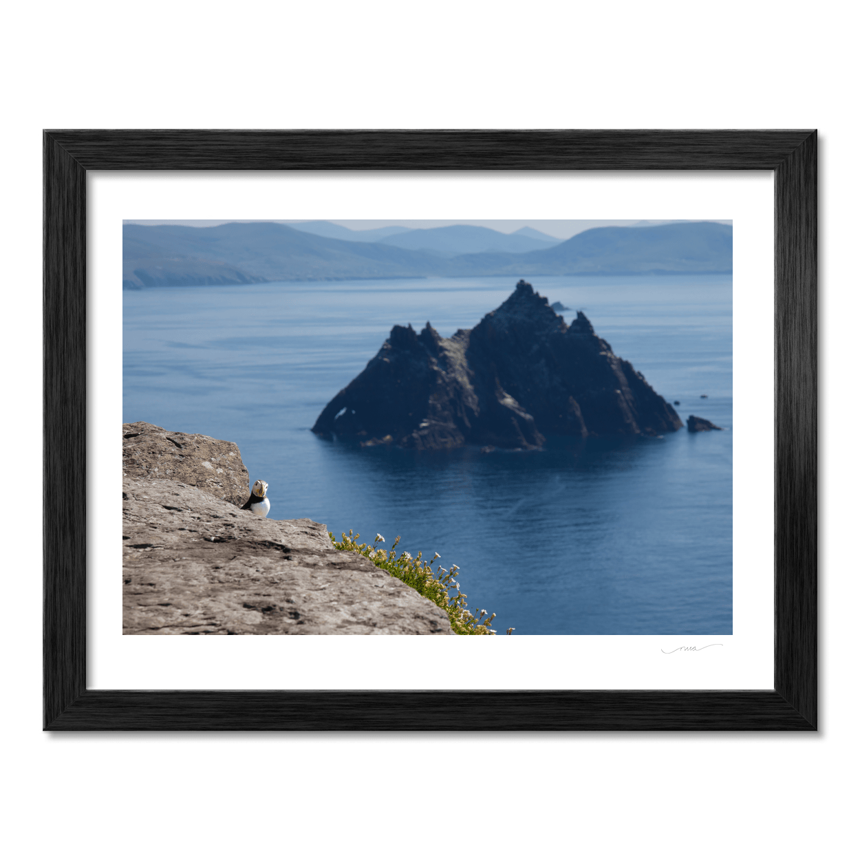 Nua Photography Print Puffin on Skellig Michael with Little Skellig View, Co. Kerry (4) Puffin on Skellig Michael with Little Skellig Print | Nua Photography
