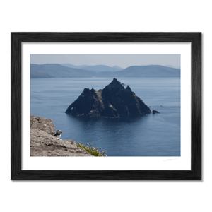 skellig-michael-puffin-little-skellig-view BF
