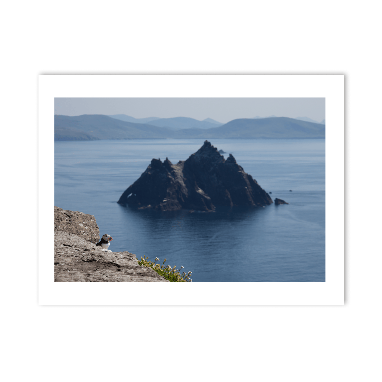 skellig-michael-puffin-little-skellig-view PM