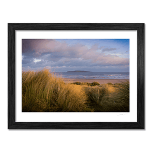 south-beach-dunes-lambay-island-golden-light BF