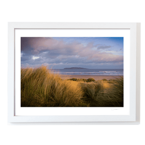 south-beach-dunes-lambay-island-golden-light WF