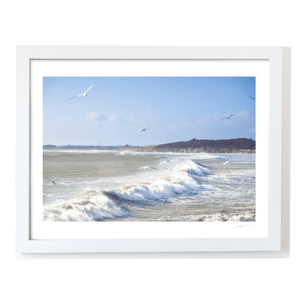 south-beach-stormy-seas-seagulls WF