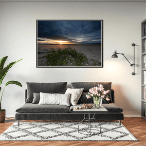 south-beach-sunset-sea-rocket-wildflowers BFW