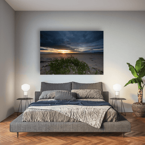 south-beach-sunset-sea-rocket-wildflowers Pano