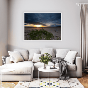 south-beach-sunset-sea-rocket-wildflowers WFW