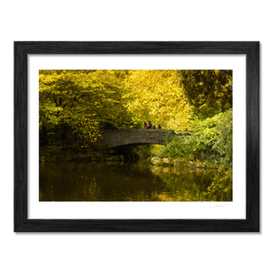 st-stephens-green-stone-bridge-autumn BF