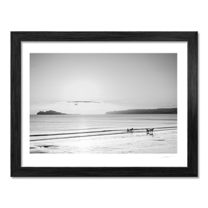 sulkies-on-velvet-strand-portmarnock BF