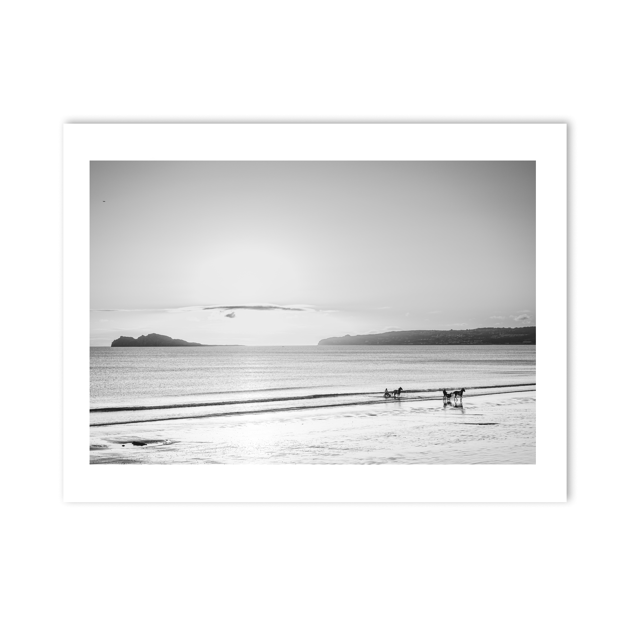 sulkies-on-velvet-strand-portmarnock PM