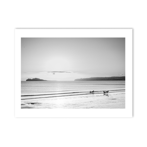 sulkies-on-velvet-strand-portmarnock PM