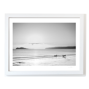 sulkies-on-velvet-strand-portmarnock WF