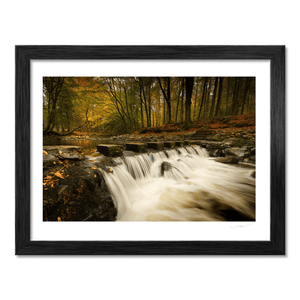 tollymore-forest-stepping-stones-autumn-waterfall BF