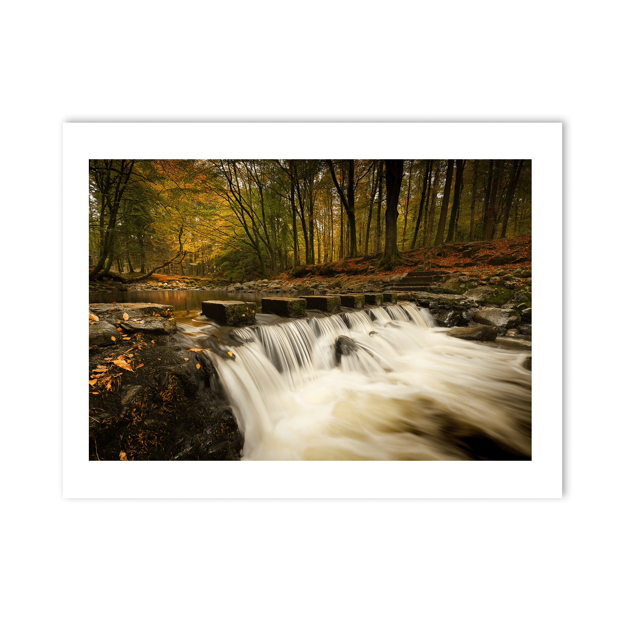tollymore-forest-stepping-stones-autumn-waterfall PM