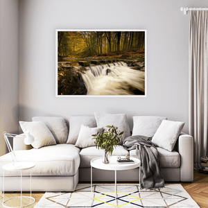 tollymore-forest-stepping-stones-autumn-waterfall WFW