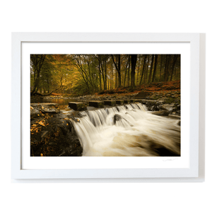 tollymore-forest-stepping-stones-autumn-waterfall WF