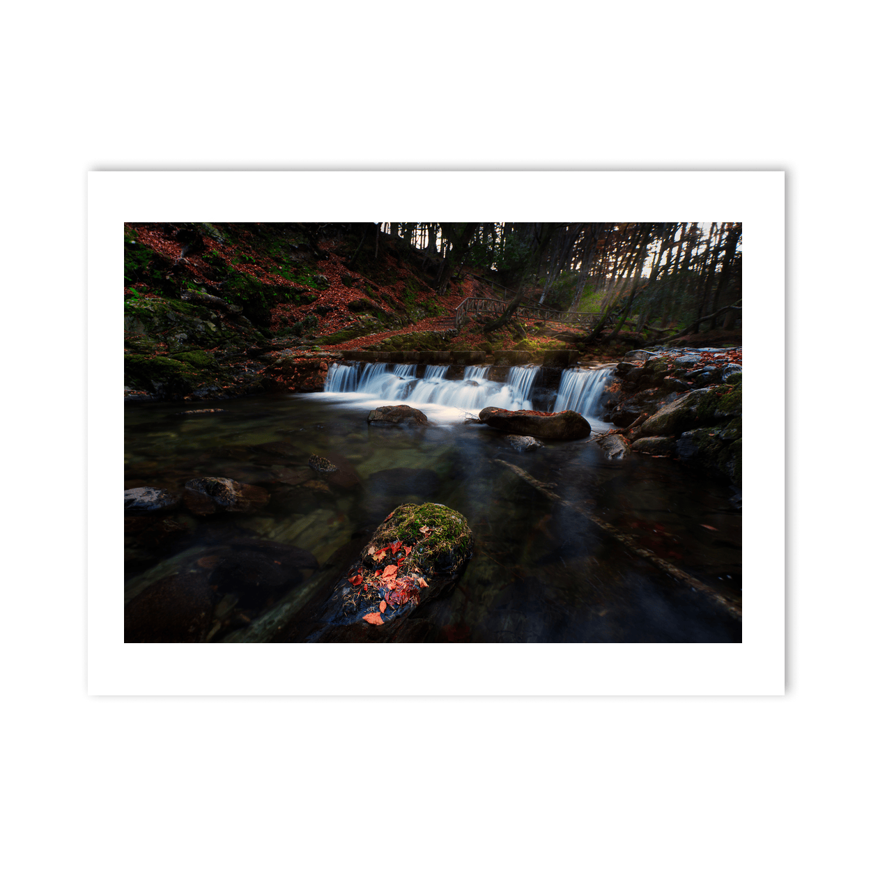 tollymore-forest-waterfall-autumn-leaves PM