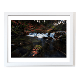 tollymore-forest-waterfall-autumn-leaves WF