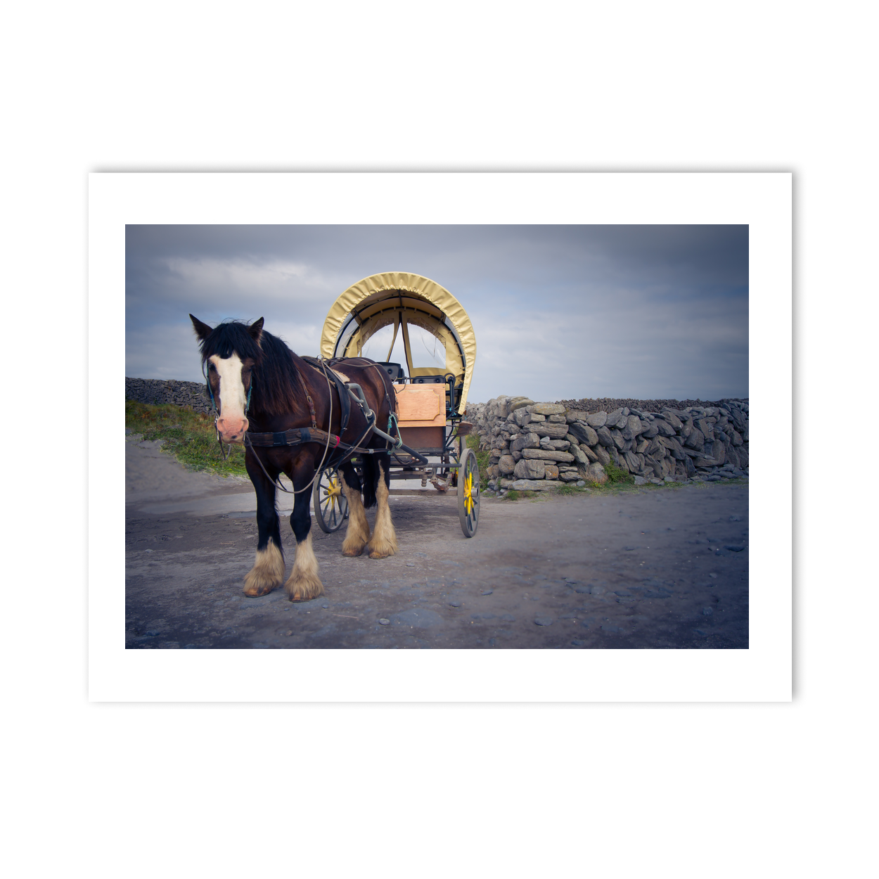 traditional-horse-cart-stone-walls-aran-islands PM