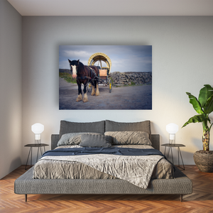 traditional-horse-cart-stone-walls-aran-islands Pano