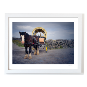 traditional-horse-cart-stone-walls-aran-islands WF