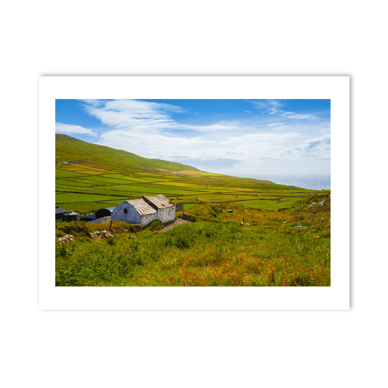 Nua Photography Print Traditional Stone Cottage and Patchwork Fields, South Cork Traditional Stone Cottage Patchwork Fields Cork Print | Nua Photograph