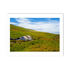 Nua Photography Print Traditional Stone Cottage and Patchwork Fields, South Cork Traditional Stone Cottage Patchwork Fields Cork Print | Nua Photograph