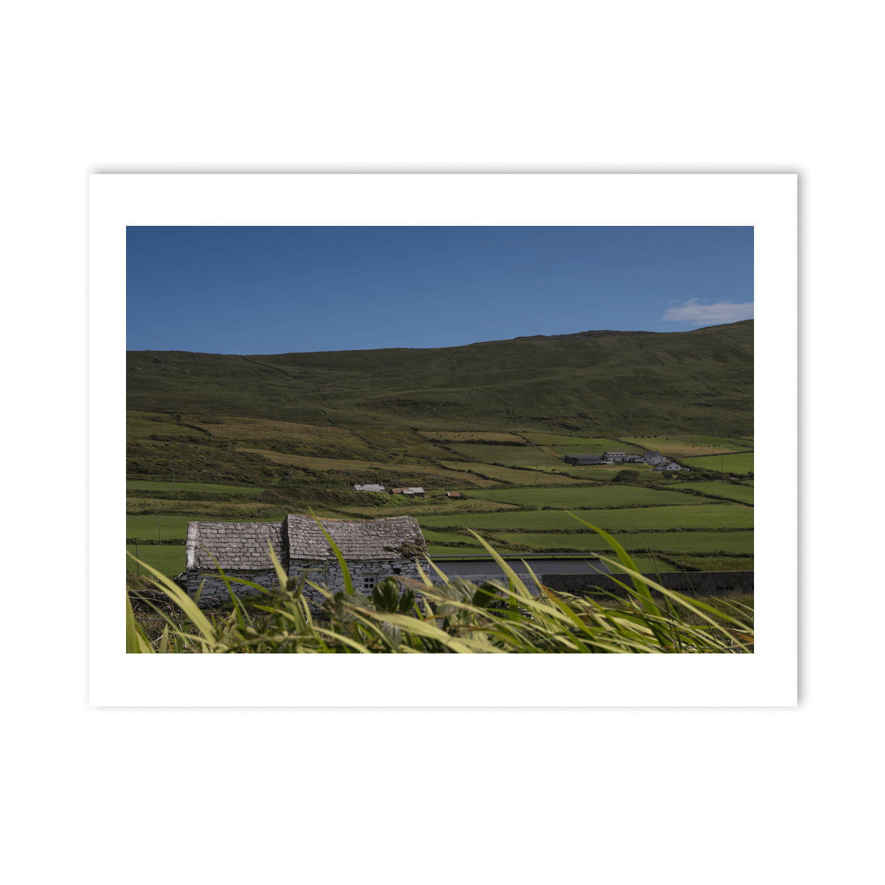 Nua Photography Print Traditional Stone Cottage and Rolling Green Hills, South Cork Traditional Stone Cottage Rolling Green Hills Print | Nua Photography
