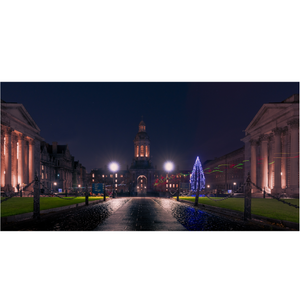 trinity-college-campanile-christmas-night PM
