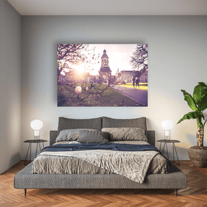Nua Photography Print Trinity College Campanile Through Spring Magnolia Blossoms, Dublin City Trinity College Campanile Spring Magnolia Print | Nua Photography