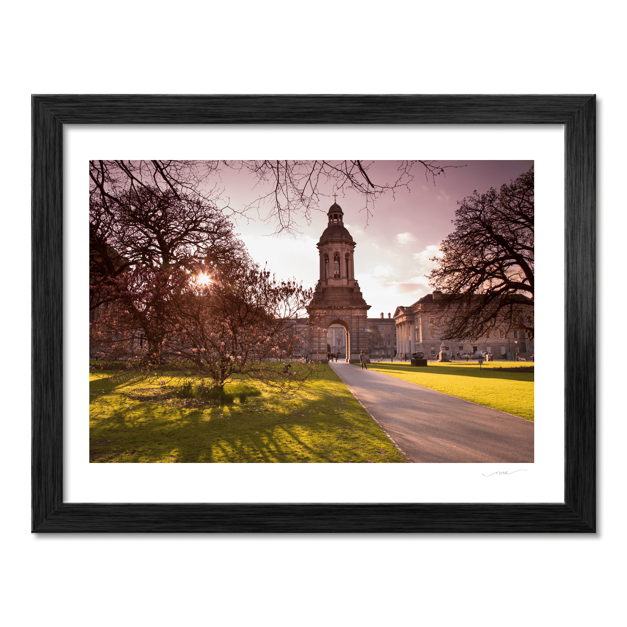 Nua Photography Print Trinity College Campanile at Spring Sunset, Dublin City Trinity College Campanile Spring Sunset Print | Nua Photography