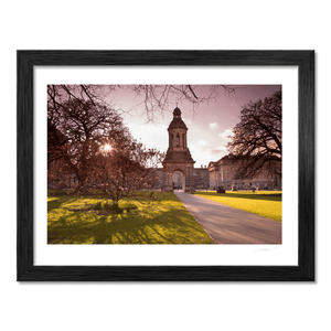 Nua Photography Print Trinity College Campanile at Spring Sunset, Dublin City Trinity College Campanile Spring Sunset Print | Nua Photography