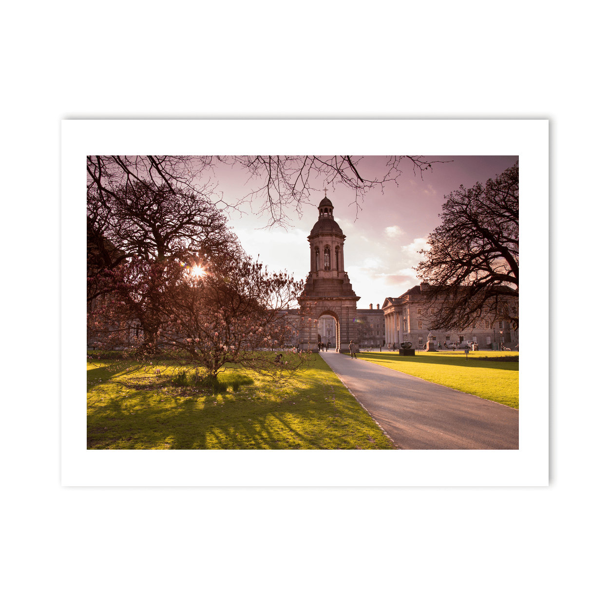 Nua Photography Print Trinity College Campanile at Spring Sunset, Dublin City Trinity College Campanile Spring Sunset Print | Nua Photography