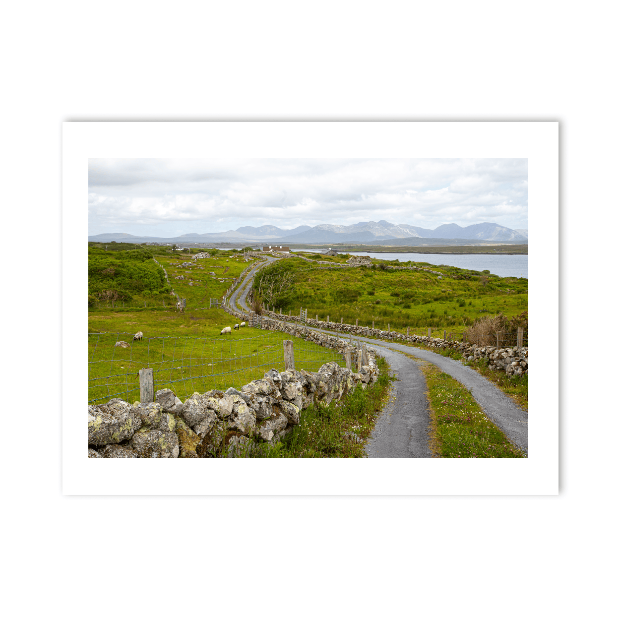 twelve-bens-from-inishnee-roundstone-connemara PM