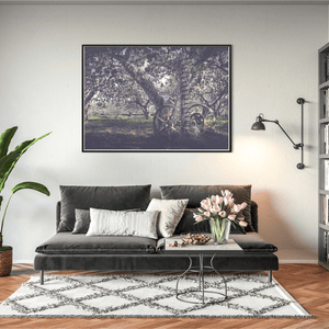 Vintage Farm Machinery in Apple Orchard Blossom, Co. Armagh fine art photography print by Nua Photography