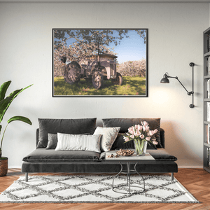 Vintage Ferguson Tractor in Apple Blossom Orchard, Co. Armagh fine art photography print by Nua Photography