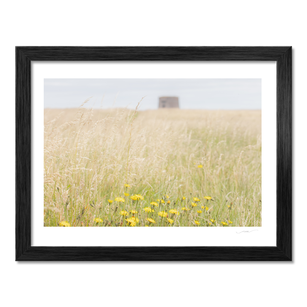 walking-tall-grasses-drumanagh-martello-tower PM