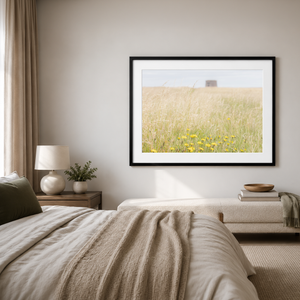 walking-tall-grasses-drumanagh-martello-tower Pano