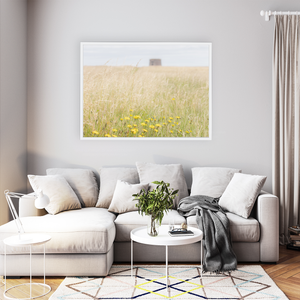 walking-tall-grasses-drumanagh-martello-tower WFW