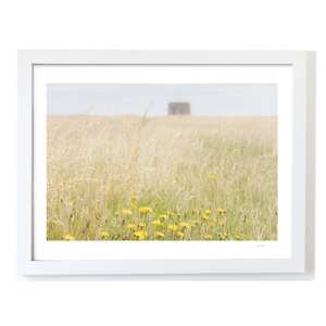 walking-tall-grasses-drumanagh-martello-tower WF
