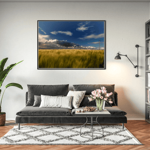wexford-golden-barley-field-stormy-sky BFW