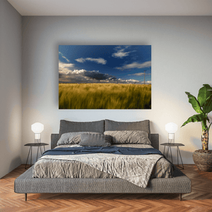 wexford-golden-barley-field-stormy-sky Pano