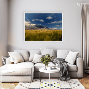 wexford-golden-barley-field-stormy-sky WFW