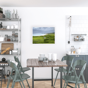 white-park-bay-green-hills-coastal-view WFA3