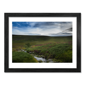 wicklow-mountains-heather-moorland-stream BF