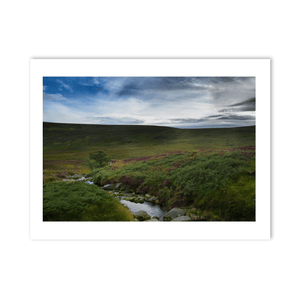 wicklow-mountains-heather-moorland-stream PM